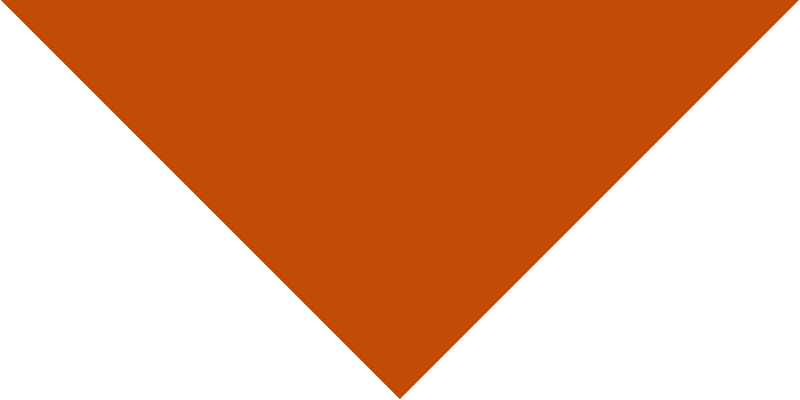 Custom Triangle Solid Bandana, Screen Printed